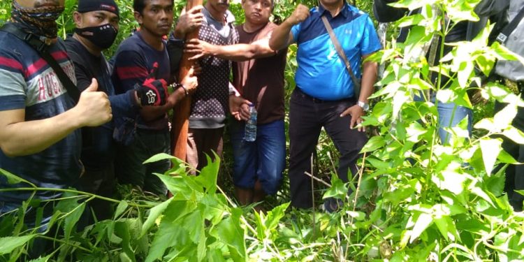 3 Pencuri Kulit Kayu Manis Warga Ujung Ladang Kerinci Ditangkap Polisi