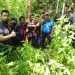 3 Pencuri Kulit Kayu Manis Warga Ujung Ladang Kerinci Ditangkap Polisi