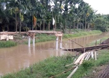 Miris!!! Besarnya Kucuran Dana Pemerintah Dalam Membangun Desa, Warga Koto Kandis Malah Iyuran Membangun Jembatan penghubung