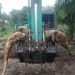 Buaya Raksasa Gegerkan Warga Muara Sabak