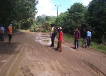 Warga Tebang Pohon Tutup Jalan