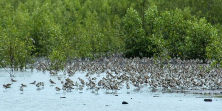 Dinas Pariwisata Jambi Perlu Mengevaluasi Potensi Wisata Yang Layak Menjadi Objek Wisata Unggulan