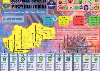 Pasien Covid-19 Di Provinsi Jambi Per 16 Juni Sembuh 8 Orang