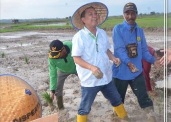 Bupati Batanghari Serahkan Bantuan Saung Sawah dan GTP