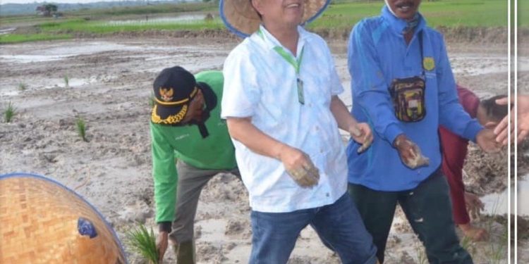 Bupati Batanghari Serahkan Bantuan Saung Sawah dan GTP