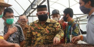Bupati Safrial Resmikan Gedung Produksi Kopi Liberika