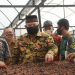 Bupati Safrial Resmikan Gedung Produksi Kopi Liberika