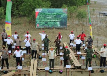 Hari Magrove Sedunia, Safrial Bersama Gubernur Jambi Tanam Mangrove Sekitaran Pelabuhan Roro