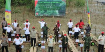 Hari Magrove Sedunia, Safrial Bersama Gubernur Jambi Tanam Mangrove Sekitaran Pelabuhan Roro