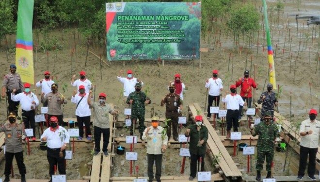 Hari Magrove Sedunia, Safrial Bersama Gubernur Jambi Tanam Mangrove Sekitaran Pelabuhan Roro