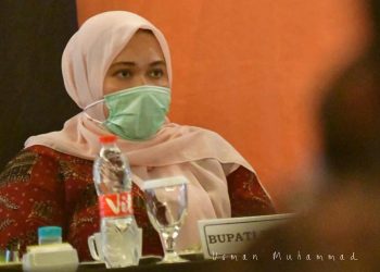 Bupati Masnah Busro Hadiri Undangan Rapat Bersama Kementrian Agraria dan BPN
