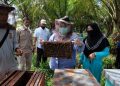 Bupati Muaro Jambi Ikuti Panen Madu di Desa Danau Lamo