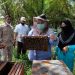 Bupati Muaro Jambi Ikuti Panen Madu di Desa Danau Lamo