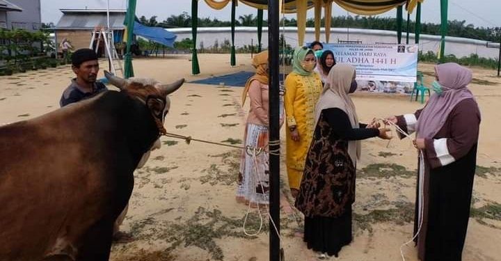 Bupati Masnah Serahkan Hewan Kurban di LPP di Bukit Baling