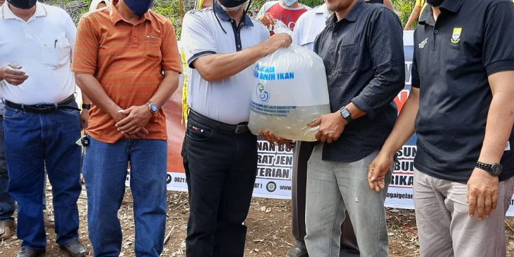 Wakil Bupati Merangin Salurkan Benih Ikan Bantuan BPBAT