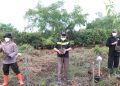Bupati Bersama Kapolres Tanjab Barat Tanam Mangrove Upaya Penghijauan Lahan