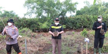 Bupati Bersama Kapolres Tanjab Barat Tanam Mangrove Upaya Penghijauan Lahan
