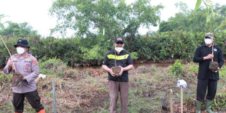 Bupati Bersama Kapolres Tanjab Barat Tanam Mangrove Upaya Penghijauan Lahan