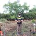 Bupati Bersama Kapolres Tanjab Barat Tanam Mangrove Upaya Penghijauan Lahan