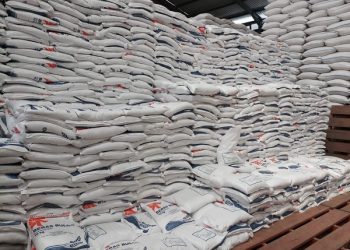 Pemerintah Diminta Batalkan rencana Impor Beras 1 Juta Ton