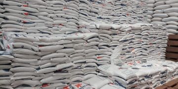 Pemerintah Diminta Batalkan rencana Impor Beras 1 Juta Ton