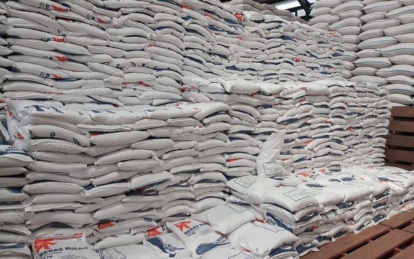 Pemerintah Diminta Batalkan rencana Impor Beras 1 Juta Ton