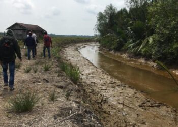 Komisi II DPRD Syufrayogi : Akibat Kanal Perusahaan Berdampak Banjir Ke Perkebunan Warga
