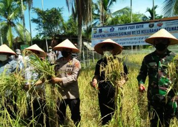 Bupati Tanjab Barat Akan Wajibkan ASN Beli Beras Petani Lokal