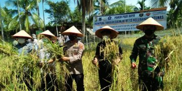 Bupati Tanjab Barat Akan Wajibkan ASN Beli Beras Petani Lokal