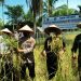 Bupati Tanjab Barat Akan Wajibkan ASN Beli Beras Petani Lokal