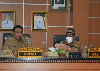DPA TPP Tahun 2020, Pemkab Batanghari Hanya Anggarkan 10 Bulan Saja