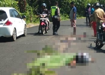 Sopir Melarikan Diri, Setelah Tabrak Pemotor Hingga Tewas