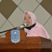 Hj. Hesnidar Rangkul Kader PKK Jadi Pelopor Penerapan Protokol Kesehatan