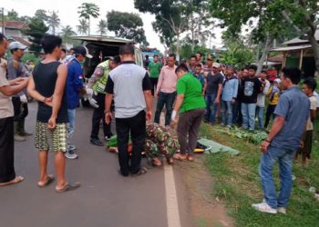 Adu Kambing, Satu Tewas Dua Luka Berat