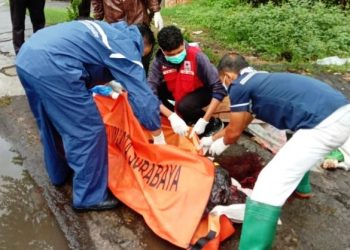 Gagal Nyalip, Pasutri Tewas Dilindas Mobil
