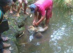 Pergi Menyentrum Ikan Disungai, Supriadi Tewas