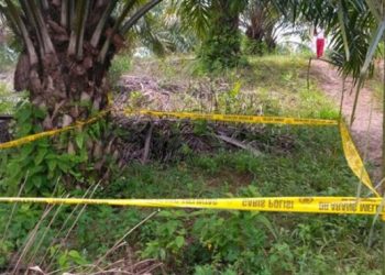 Uztaz Tewas Dibacok Video Viral di Medsos, Pelaku Berhasil Ditangkap