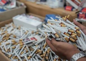 Bea Cukai Gagalkan Penyelundupan Ratusan Ribu Rokok Ilegal