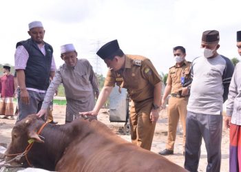Wabup Muaro Jambi Serahkan Hewan Qurban untuk Ponpes Darul Arifin