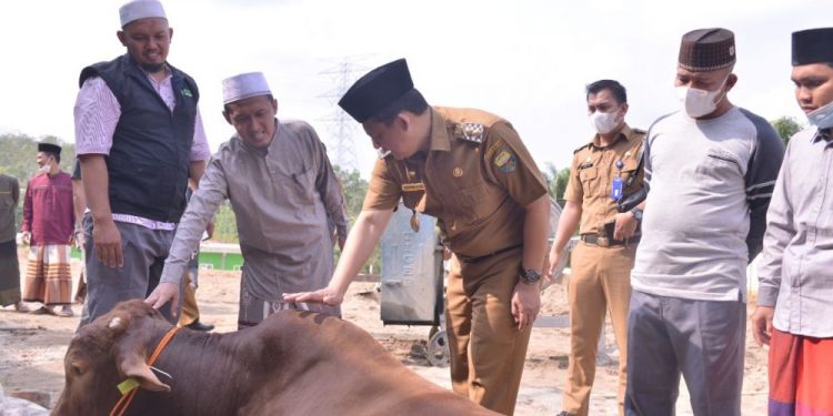 Wabup Muaro Jambi Serahkan Hewan Qurban untuk Ponpes Darul Arifin