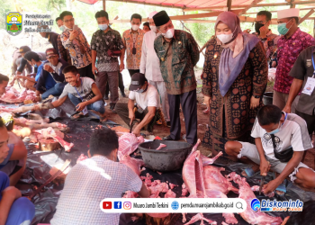 Bupati Muaro Jambi Bersama Wagub Hadiri Penyembelihan Hewan Qurban