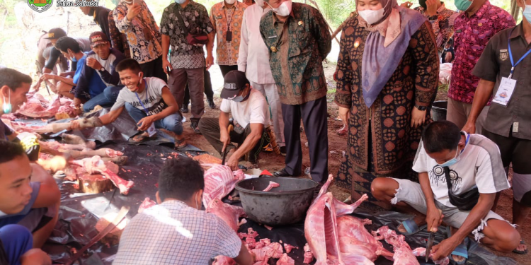 Bupati Muaro Jambi Bersama Wagub Hadiri Penyembelihan Hewan Qurban
