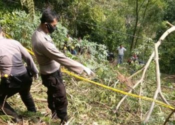 Kakek Niat Cari Rumput, Tewas Tersengat Listrik