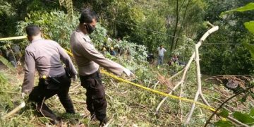 Kakek Niat Cari Rumput, Tewas Tersengat Listrik