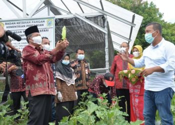 Abdullah Sani Bagi Sembako Saat Kunjungi Kawasan Pangan Lestari