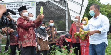 Abdullah Sani Bagi Sembako Saat Kunjungi Kawasan Pangan Lestari