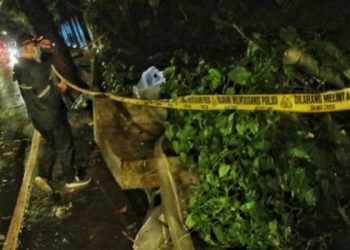 Pagar Tembok Beton Roboh” Dua Pedagang Masker Tertimpa, Satu Tewas di Lokasi