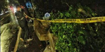 Pagar Tembok Beton Roboh” Dua Pedagang Masker Tertimpa, Satu Tewas di Lokasi