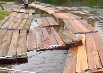 Kurang Pantauan Illegal Logging di Musi Rawas Utara (Muratara)