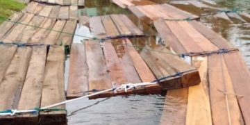 Kurang Pantauan Illegal Logging di Musi Rawas Utara (Muratara)